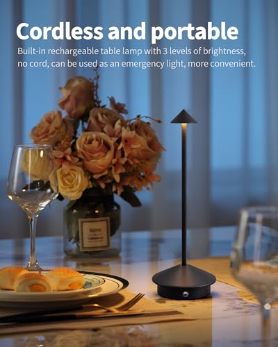 Modern Cordless Table Lamp Set of 2 (2 Count)
