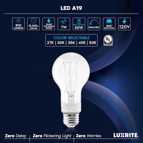 Vintage A19 LED Light Bulb 60 Watt Equivalent (12 Count)