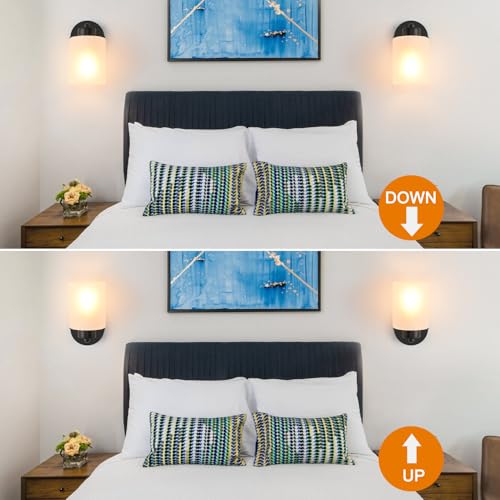 Metal Sconces Wall Lighting with Clear Glass Shade