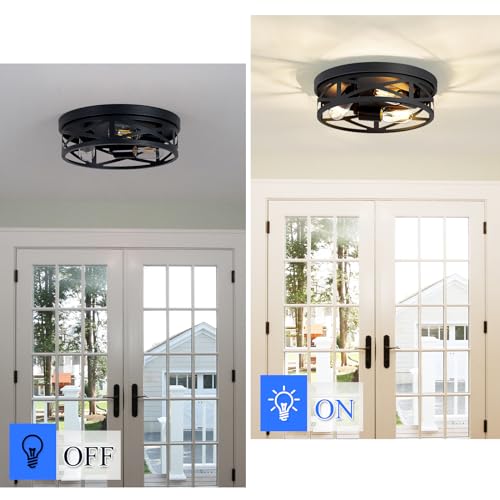 Flush Mount Ceiling Light Fixture