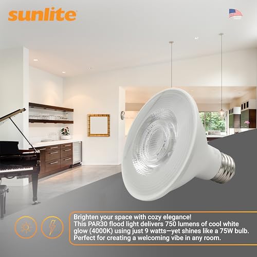 Reflector PAR30 LED Bulb (24 Count)