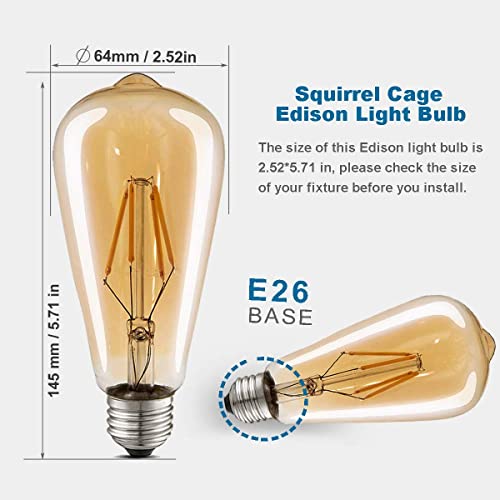 LED Edison Bulbs