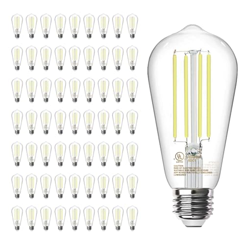64 Pack Vintage Edison LED Light Bulbs (63.98 Count)