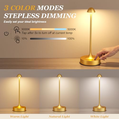 Rechargeable Cordless Table Lamp (2 Count)