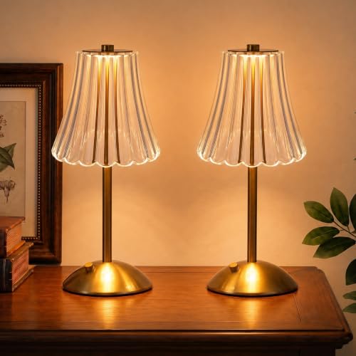 2 Pack Rechargeable Cordless Table Lamp (2 Count)