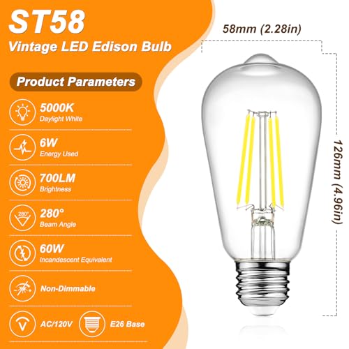 Vintage LED Edison Bulbs (6 Count)