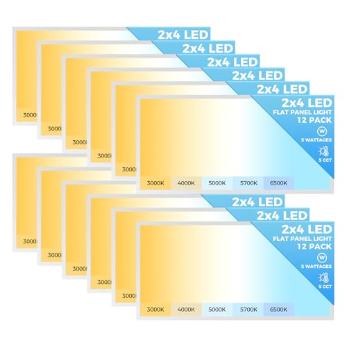 12 Pack 2x4 LED Flat Panel Light (12 Count)