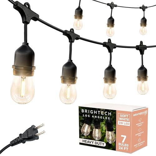 Ambience Pro 24 Ft Waterproof LED Outdoor String Lights (24 Foot)