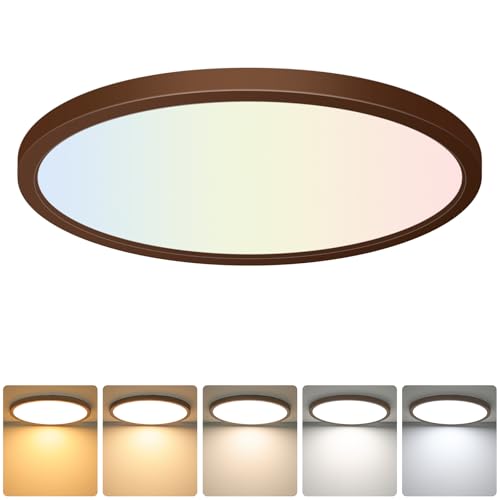 LED Flush Mount Ceiling Light Fixture Oil Rubbed Bronze