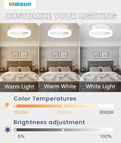 13 inch Small Ceiling Fans with Lights and Remote