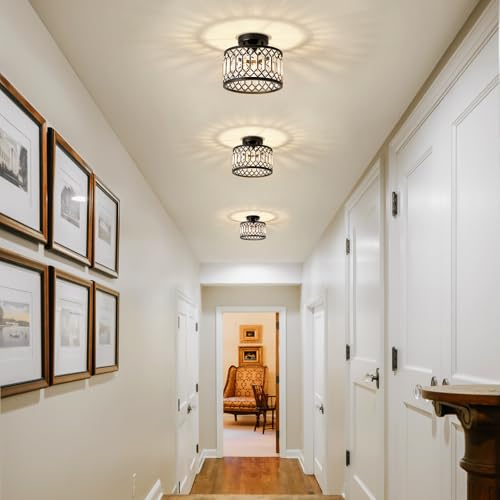 Crystal Black Ceiling Light