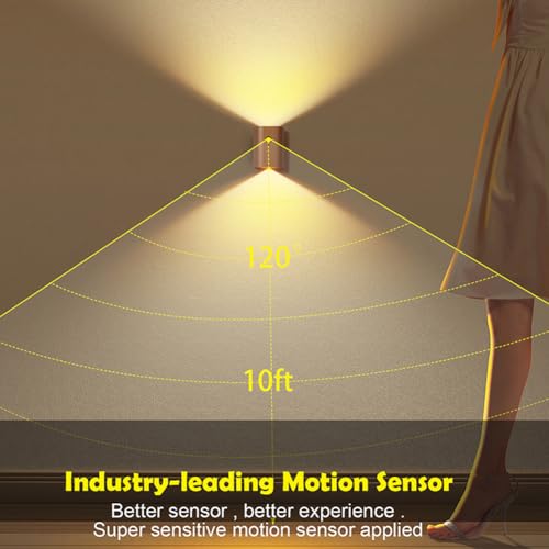 2 Pack Wood Step Light with Motion Sensor (2 Count)