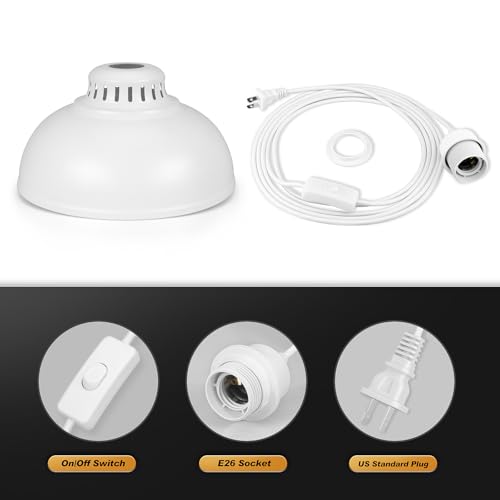 Plug in Pendant Light