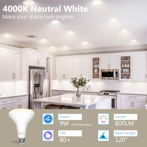BR30 LED Light Bulbs Indoor Flood Light (6 Count)