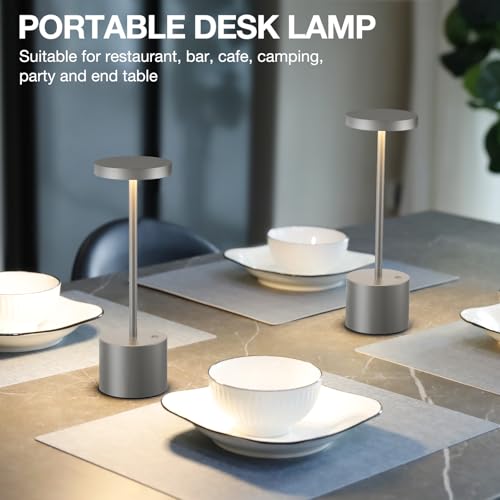Grey Rechargeable Cordless Lamp (2 Count)