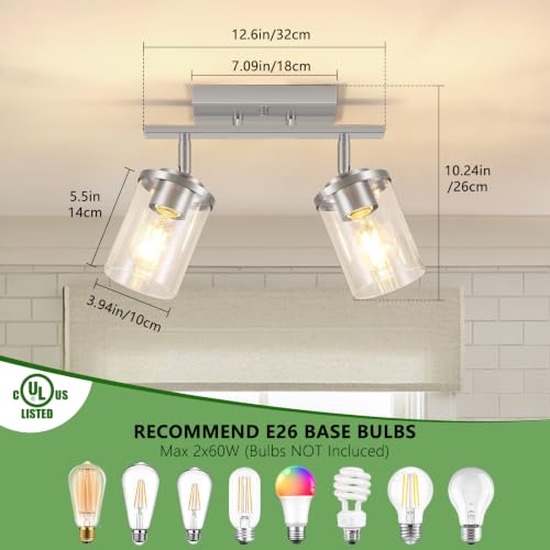 2 Lights Brushed Nickel Kitchen Track Lighting Fixtures Ceiling Mount