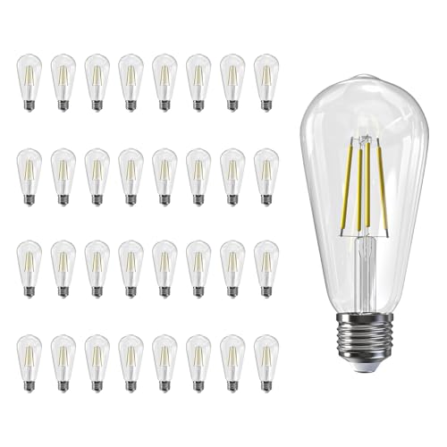 Edison Bulbs E26 LED Bulb 60 Watt Equivalent