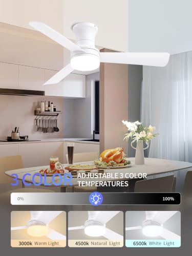 42 Inch White Low Profile Ceiling Fan with Light and Remote (White-3 / 42 Inch)