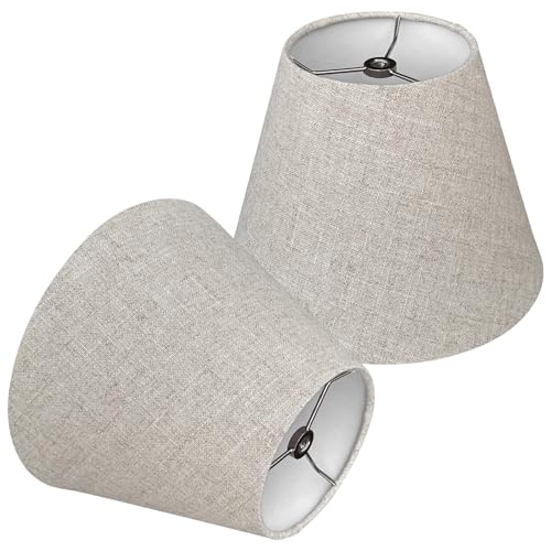 Small Lamp Shades for Table Lamps Set of 2
