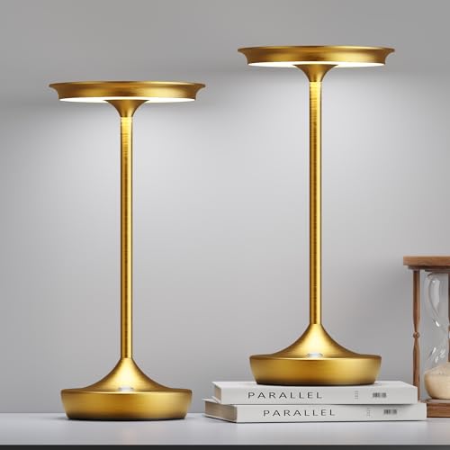 LED Rechargeable Cordless Outdoor 6000mAh Battery Table Lamp 2 (2 Count)