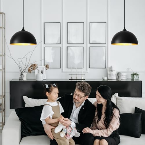 Black Plug in Pendant Light 2 Packs 11.8inch
