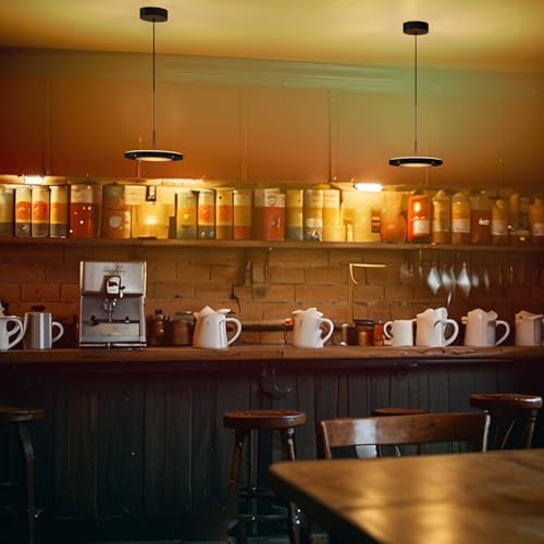 LED Saturn Pendant Lights (2 Count)