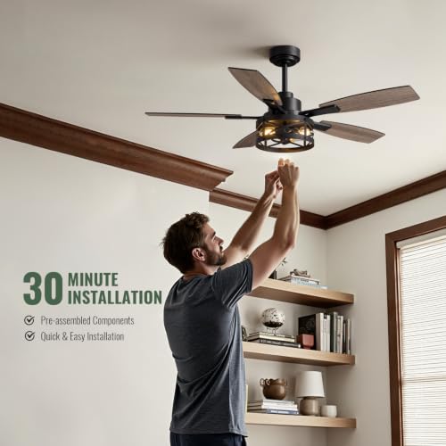 52 Inch Ceiling Fan with Light and Remote Control (Black / 52 Inch)