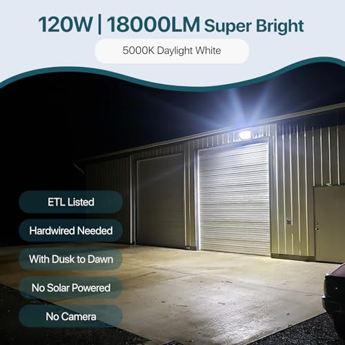LED Wall Pack Light (2 Count)