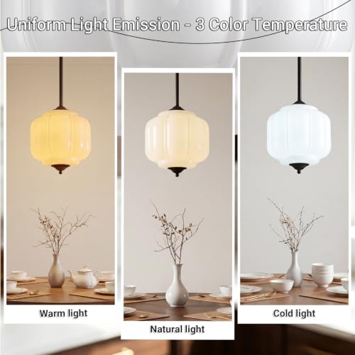 10 Inch Vintage Milk White Glass Ceiling Light Fixture