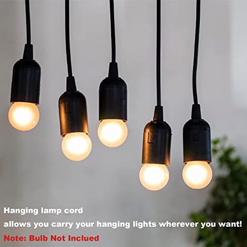 Plug in Hanging Light Kit (2 Count)