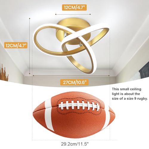 Modern Led Ceiling Light Fixture