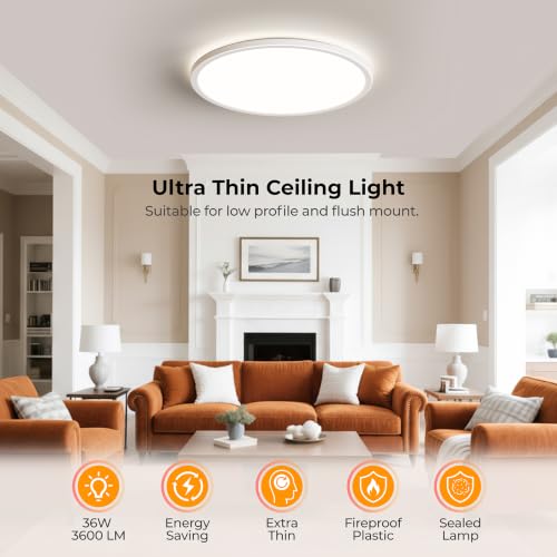 LED Flush Mount Ceiling Light Fixture with Remote Control (2 Count)