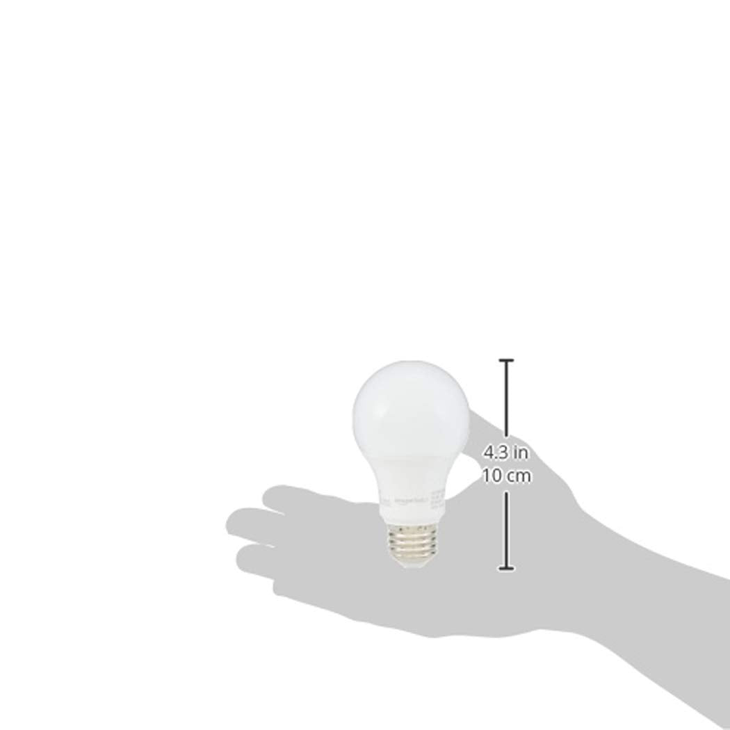 A19 LED Light Bulbs (24 Count)