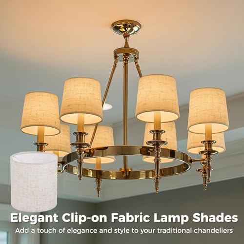 6PCS Chandelier Lamp Shades (6 Count)