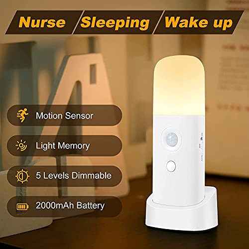 Motion Sensor Night Light Indoor (2 Count)
