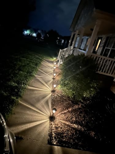 Solar Lights Outdoor (6 Count)