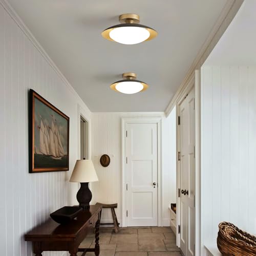 Dimmable Modern LED Black and Gold Ceiling Light Fixture 11.81 in