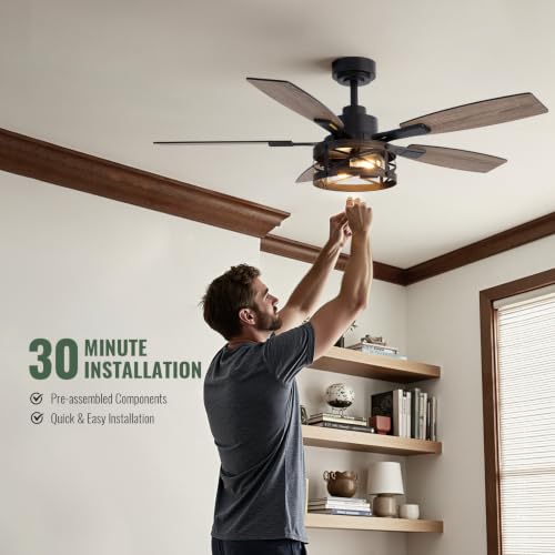 52 Inch Ceiling Fan with Light and Remote Control (Wood Grain - Flush Mount / 52 Inch)