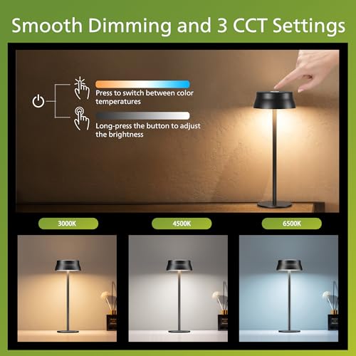 Cordless Table Lamp