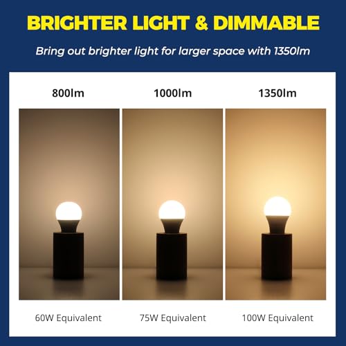 Smart Bulbs 100W Work with Alexa (2 Count)