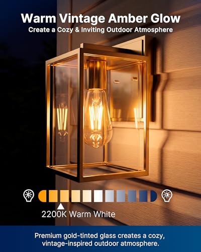 ST19 Dusk to Dawn LED Edison Bulb (2 Count)