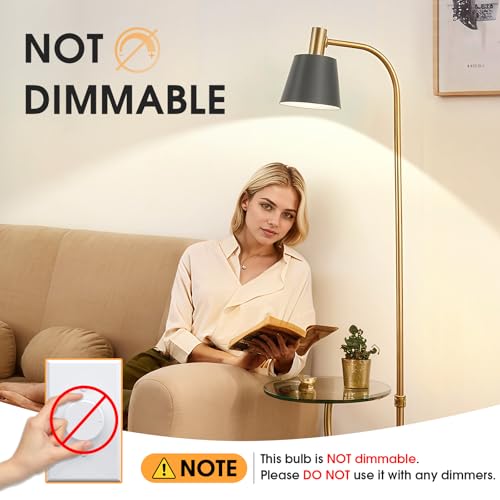 A19 LED Light Bulbs (24 Count)