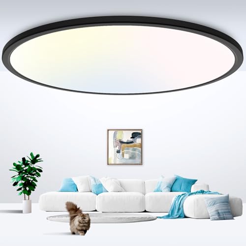 20 inch LED Flush Mount Ceiling Light