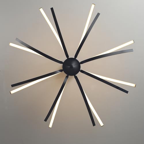 Modern LED Ceiling Light Fixture