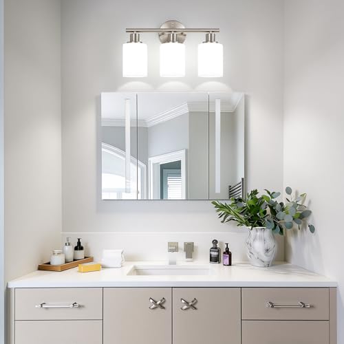 3 Light Bathroom Light Fixtures (3 Count)