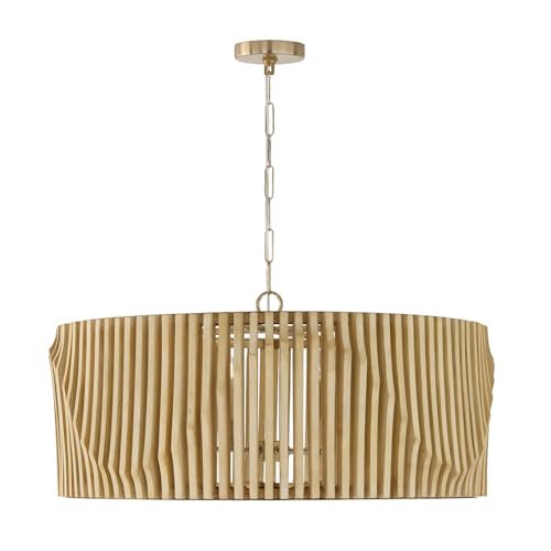 Capital Lighting 344664BWB Archer Modern Artisan