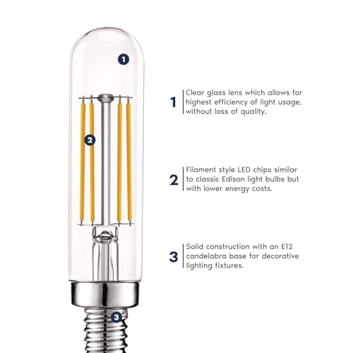 Vintage E12 LED Bulb 60W Equivalent (12 Count)