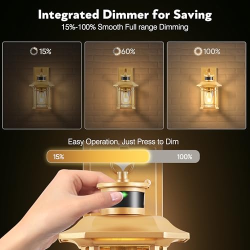 Motion Sensor Exterior Lights for House (2 Count)