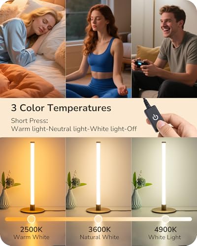 Modern Table Lamp