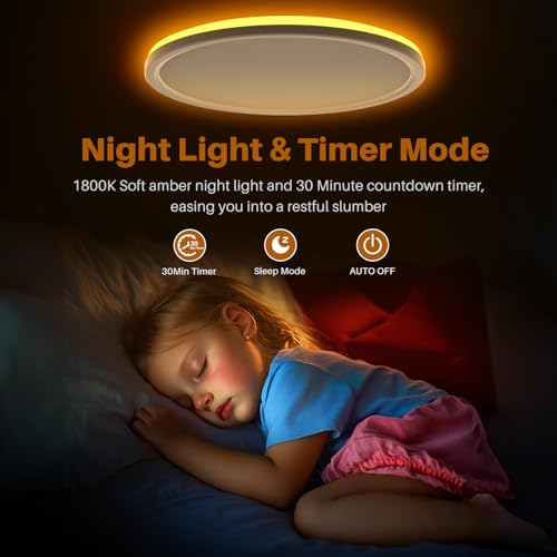 15 Inch LED Flush Mount Ceiling Light with Remote